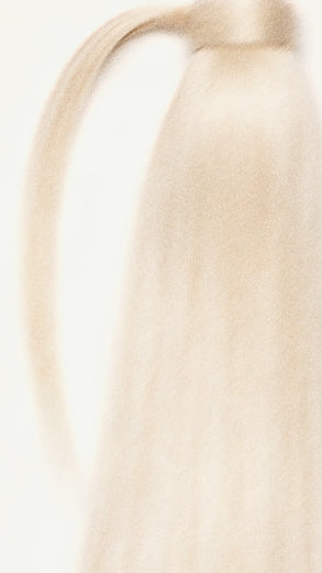 Ponytail | August